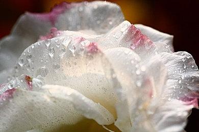 《Unavailed》登陆Steam 宅居美好生活冒险